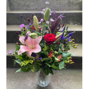 Fin have i lyserd og rde nuancer