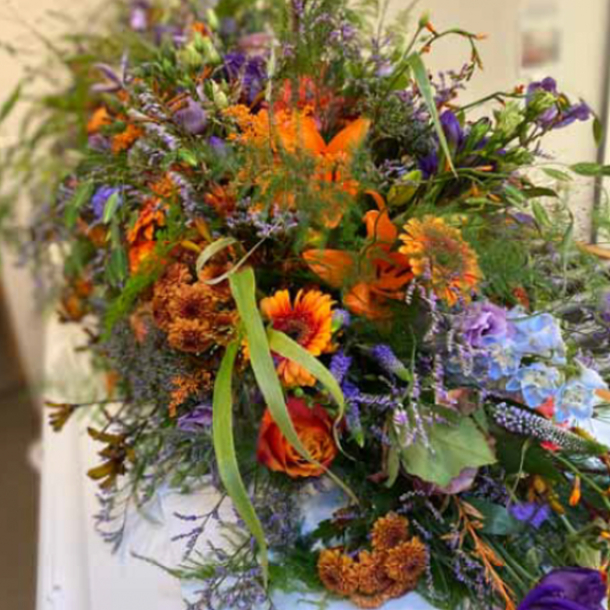 Kistepynt - Vild Natur