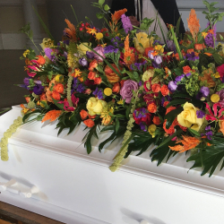 Kistepynt - Vild Natur